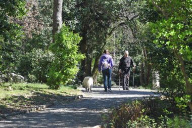 Foto Dean Miculinić