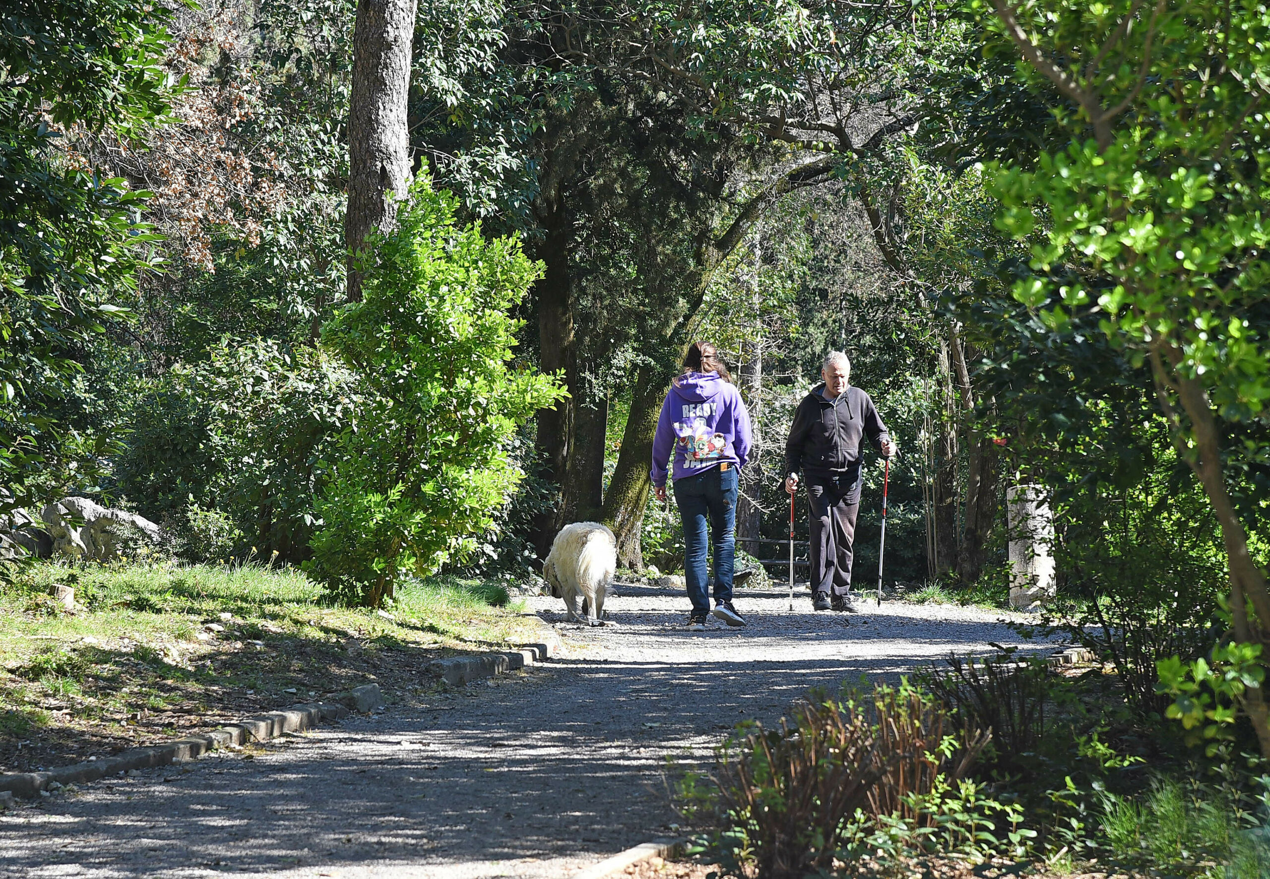 Foto Dean Miculinić