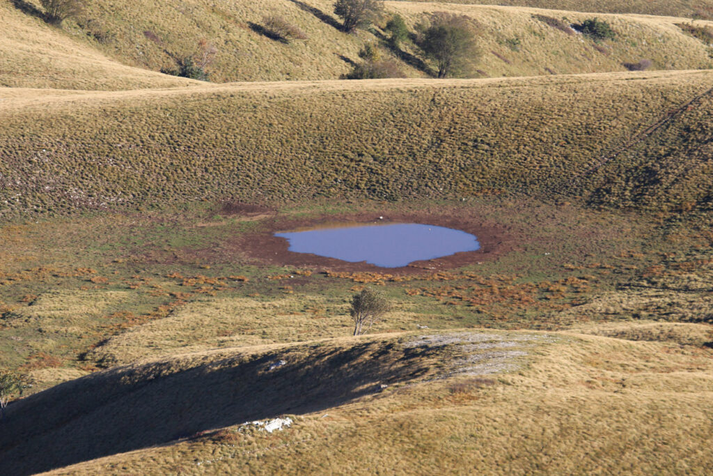 Rad Ive Vičića / Foto IVO VIČIĆ/GALERIJA PRINCIPIJ 