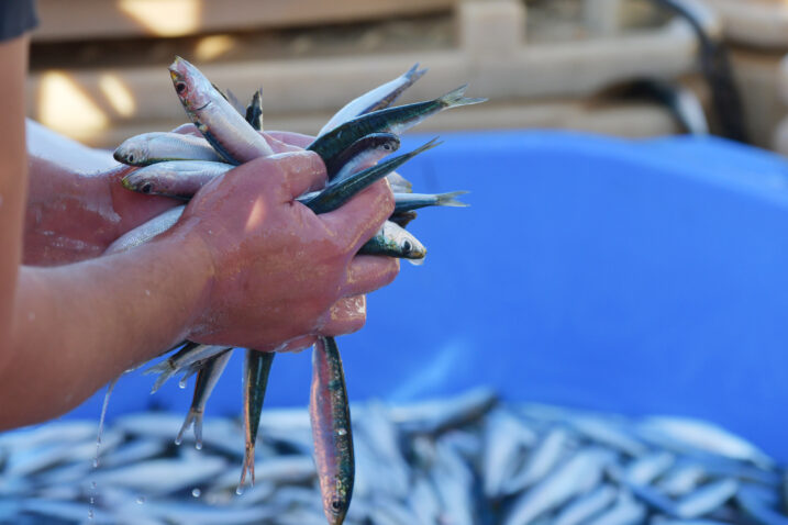 Photo: Hrvoje Jelavic/PIXSELL