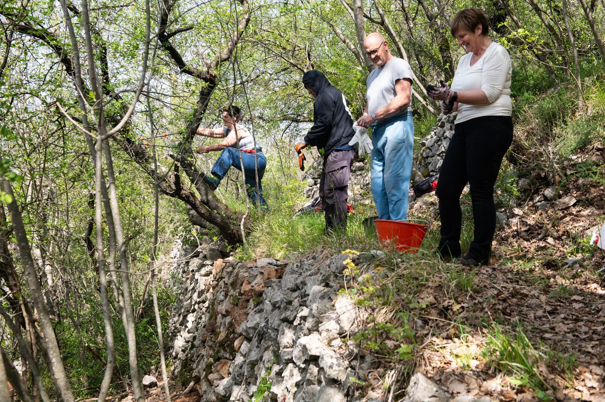Foto Nikola Blagojević