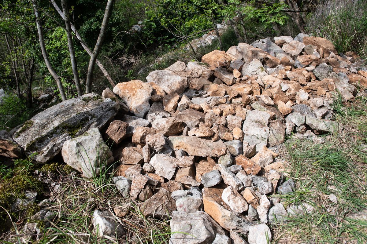 Foto Nikola Blagojević