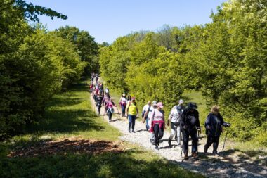 Rekreativno pješačenje Krk in Motion Hike biti će u subotu / Foto TZ Omišalj