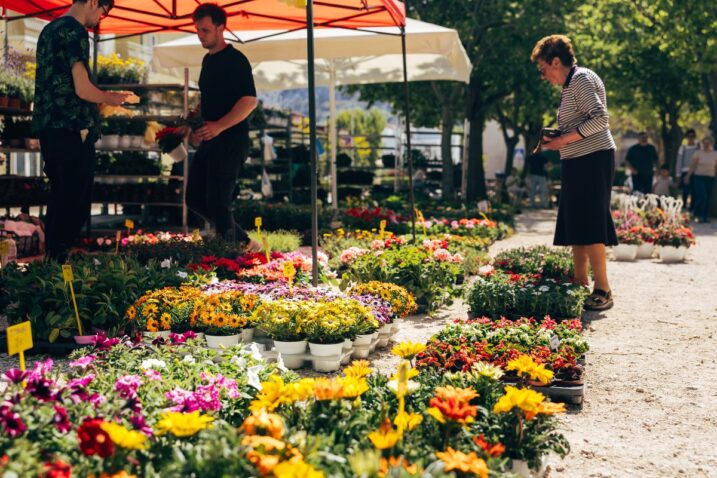 Foto Lucija Špoljarević