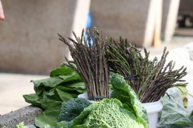 Proljetni val u fokusu ima šparoge / Foto Dusko Jaramaz/PIXSELL