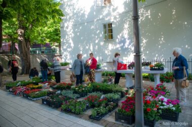 Foto REGIS@BALLAND.FR