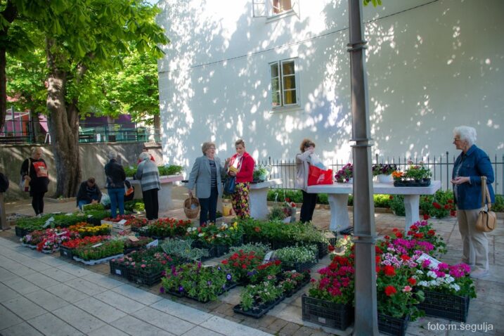 Foto REGIS@BALLAND.FR