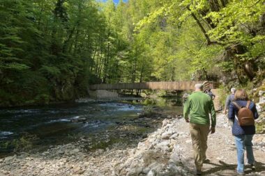 Foto I. Vučemilović