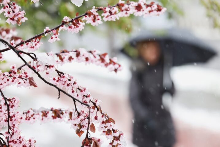 Ilustracija / Foto REUTERS/Amel Emric