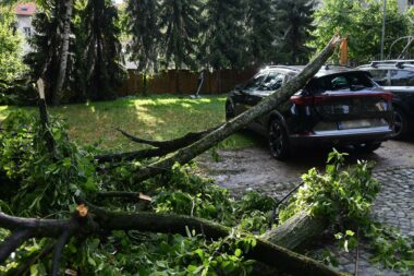 Photo: Josip Regovic/PIXSELL