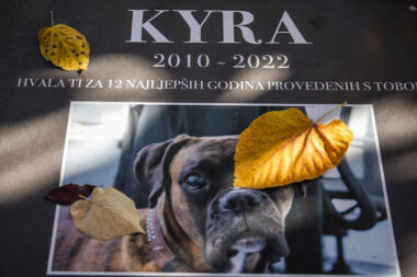 Photo: Emica Elvedji/PIXSELL