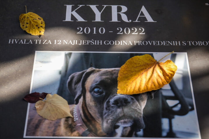 Photo: Emica Elvedji/PIXSELL