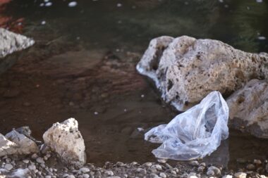 Foto Igor Soban/PIXSELL