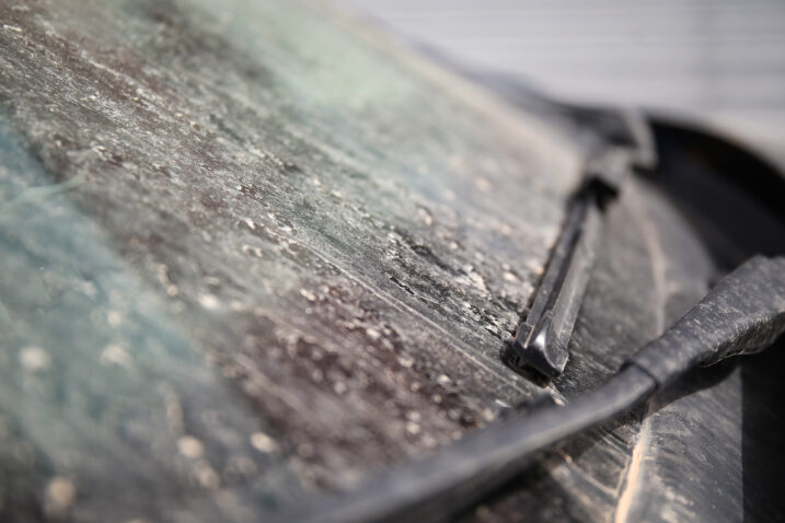 Emica Elvedji/PIXSELL