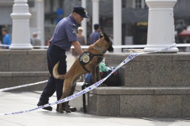 Ilustracija / Foto: Marko Lukunic/PIXSELL