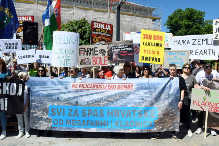 Photo: Nikola Cutuk/PIXSELL