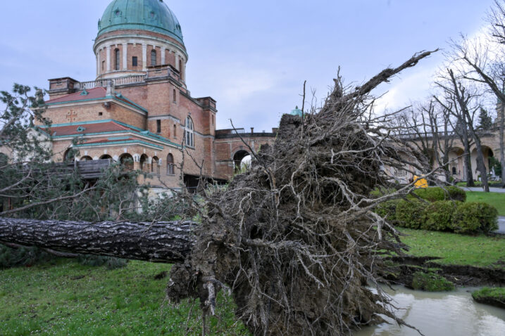 Photo: Sandra Simunovic/PIXSELL