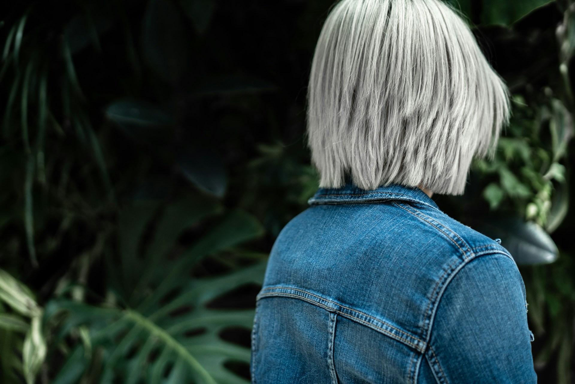 FOTO: Unsplash