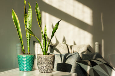 FOTO: iStock