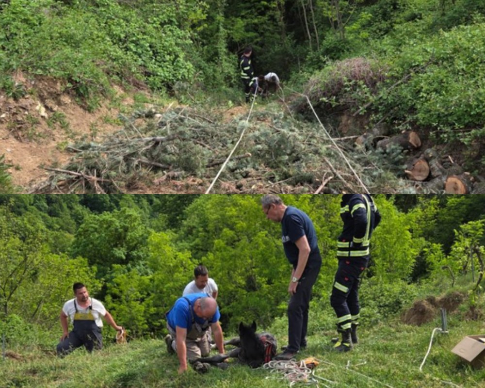 Foto Općina Jelenje