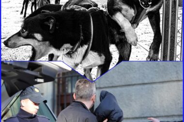 Foto collage: Unsplash Ryan Faulkner / PIXSELL