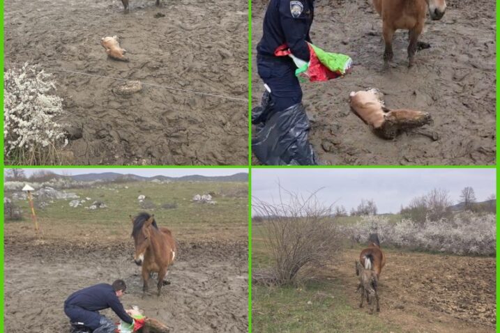 Spašavanje konjića iz blata / Foto: PU ličko-senjska