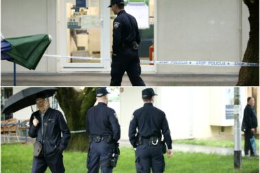 Policijski očevid nakon pljačke Fine u Zagrebu / Foto collage: Emica Elvedji / PIXSELL