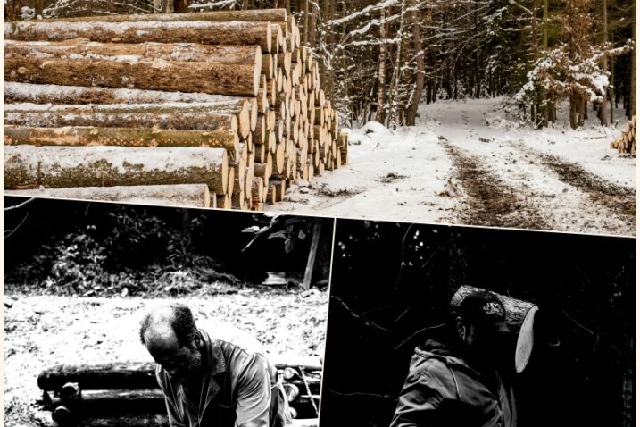 Unsplash: Aneta Voborilova; Anastasia Shelepova; Marin Tulard