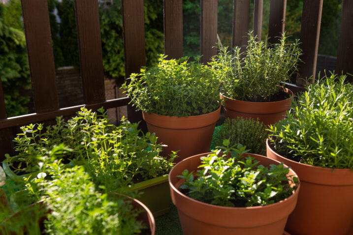 Foto: iStock