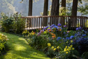 Foto: iStock