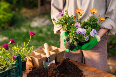 Foto: iStock