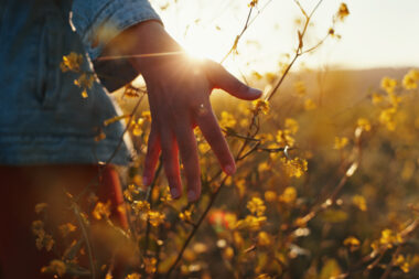Foto: iStock