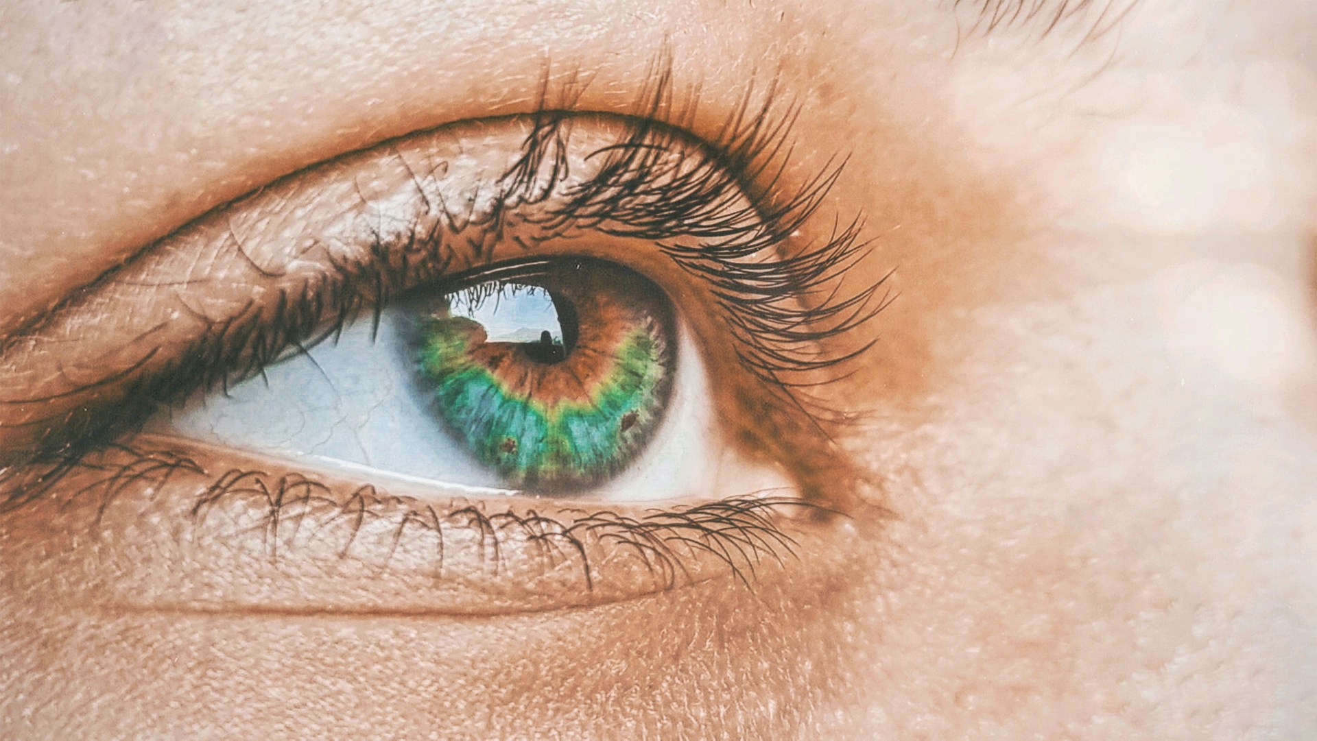 FOTO: Unsplash
