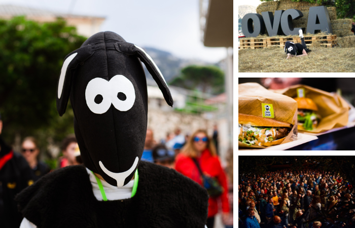 NAJVEĆI FESTIVAL JANJETINE U REGIJI SLAVI 20 GODINA – PROGRAM NA SVAKOM KORAKU, BESPLATAN ULAZ NA SVE SADRŽAJE