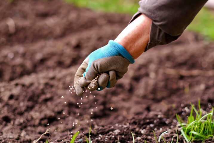 FOTO: iStock
