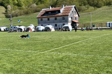 Foto I. Vučemilović