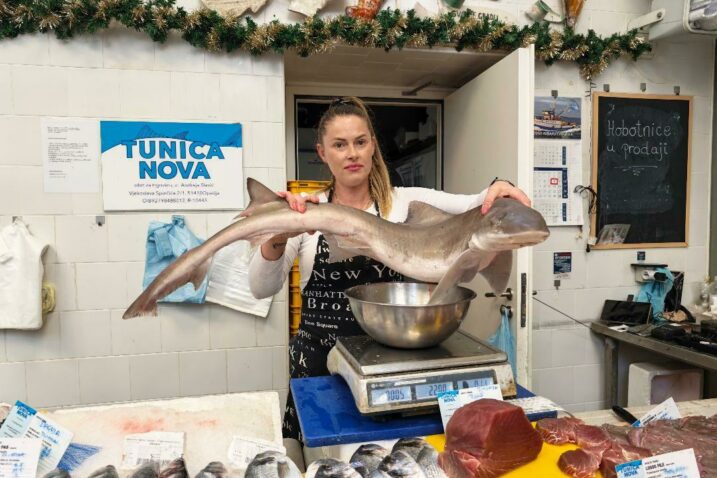 Morskog psa od pet kilograma Opatijci nazvali “pravi macan”