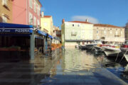 Foto S. JUNG
