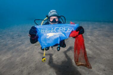 S 38. ekološke akcije Think Green u ičićanskom podmorju / Foto RK Roniti se mora