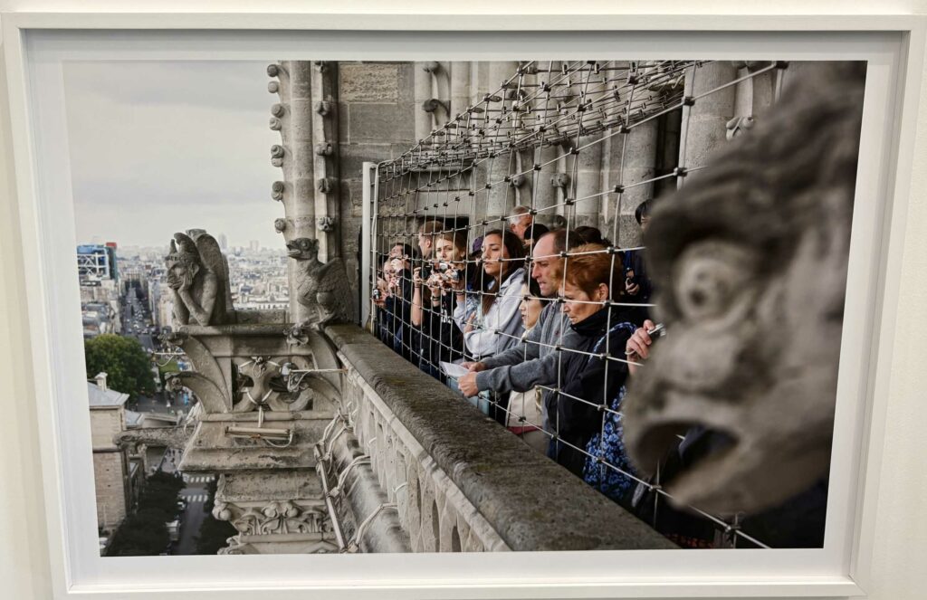Notre Dame, Pariz, 2012.