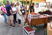 Foto: Dean Miculinić