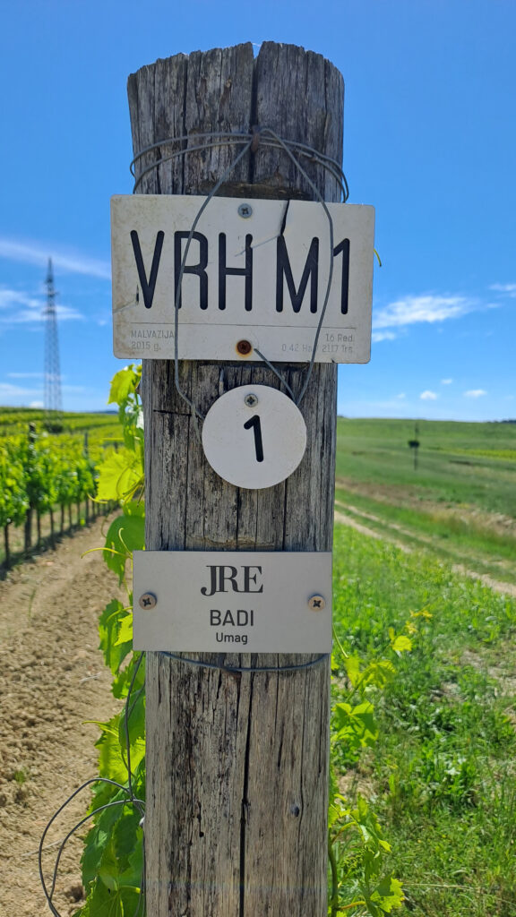 Postavili su u vinograd Santa Lucija, odnosno onaj njegov dio gdje se nalaze redovi s inicijalnim pločicama svih hrvatskih JRE restorana, četiri nove: Villa Rova iz Malinske, Lemongarden i Kala s Brača kao i trogirski Ponte, Istra