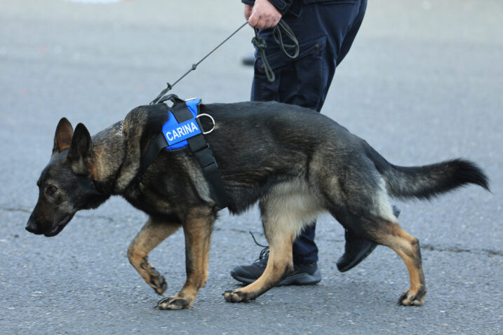 Davor Javorovic/PIXSELL