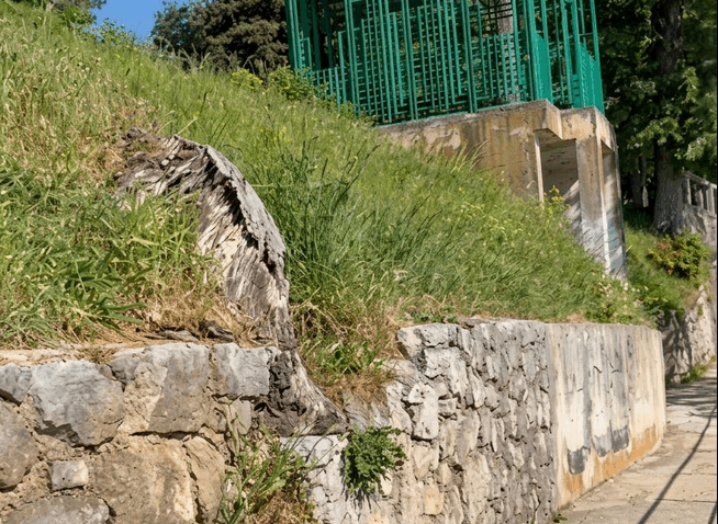 Mamutske ose na lovranskom Lungomaru: Ljudi zvali hitne službe, evo o čemu se radi