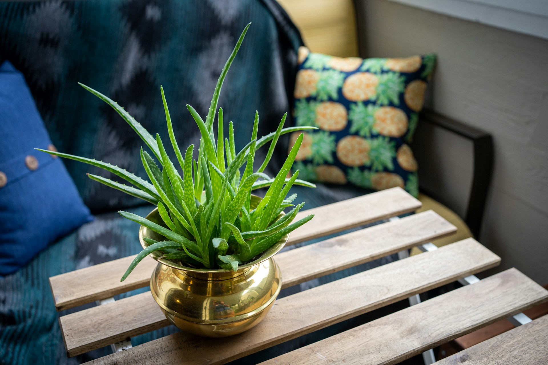 FOTO: Unsplash
