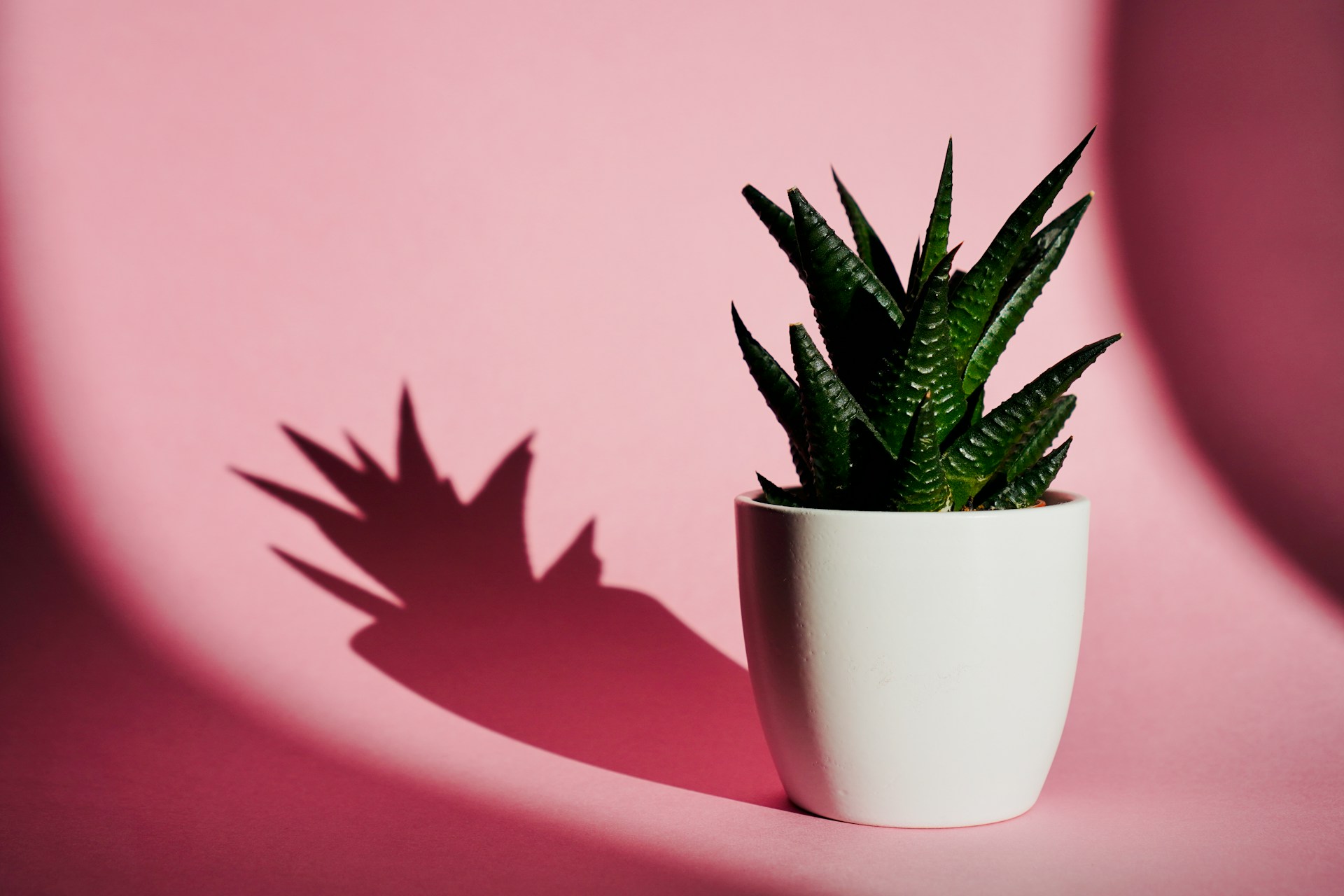 FOTO: Unsplash