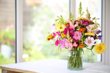 FOTO: iStock
