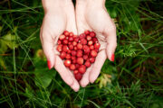 FOTO: iStock