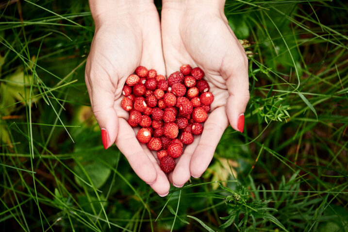 FOTO: iStock