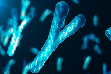 iStock